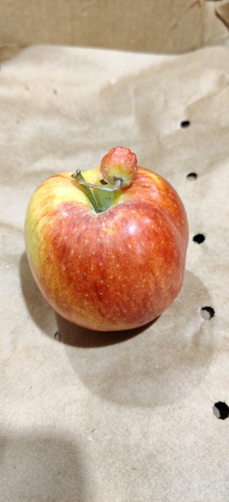 Tiny Things (22 pics)