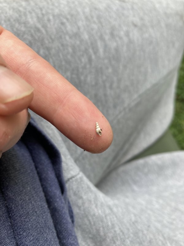 Tiny Things (22 pics)