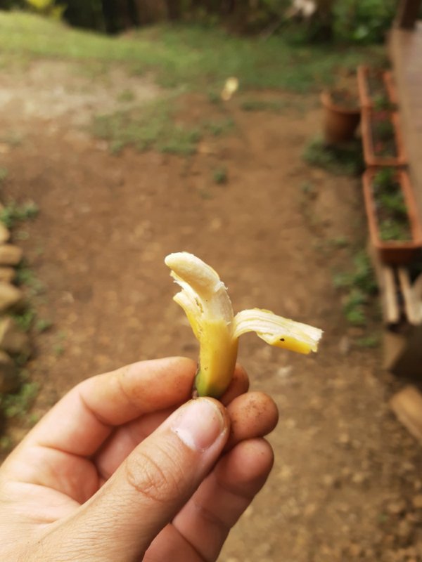 Tiny Things (22 pics)