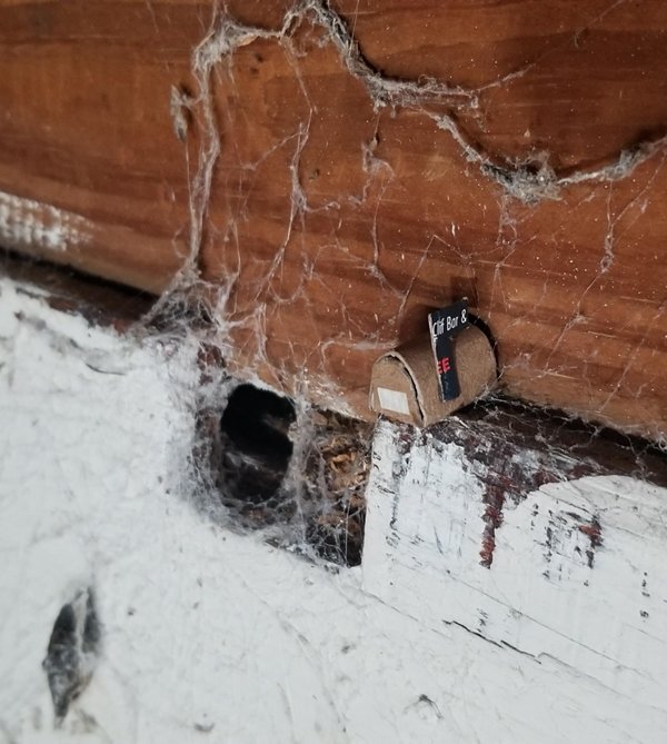 Tiny Things (22 pics)