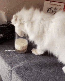 Acid Gifdump, April 22 (25 gifs)