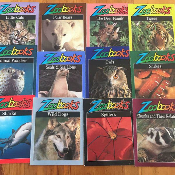 Time For Nostalgia (52 pics)