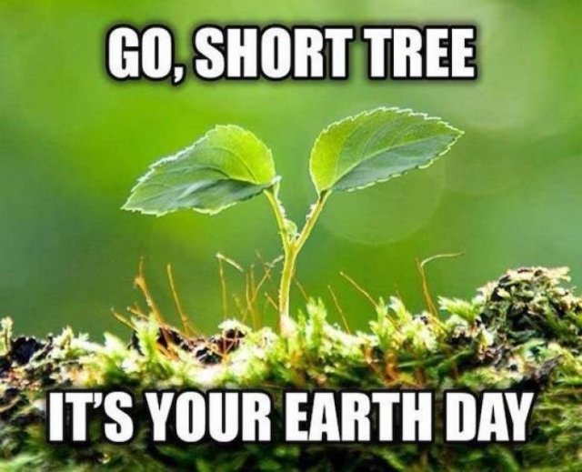 Earth Day Memes (30 pics)