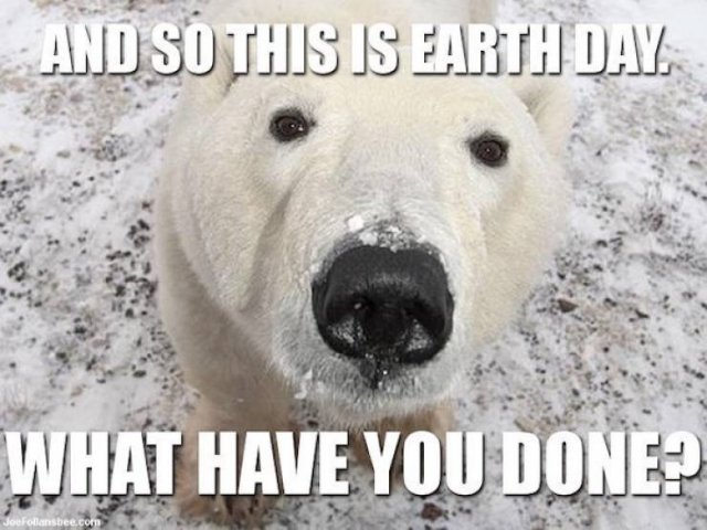 Earth Day Memes (30 pics)