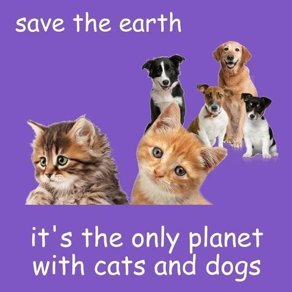 Earth Day Memes (30 pics)