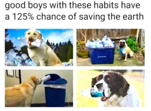 Earth Day Memes (30 pics)