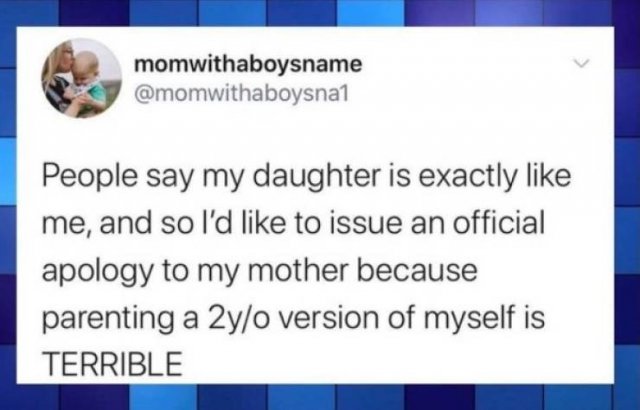 Kids Are Fun (29 pics)