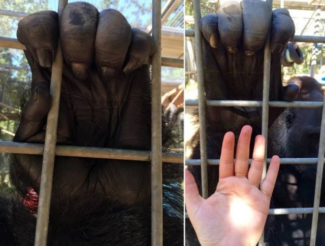 Comparison Matters (30 pics) Comparison Matters (30 pics)