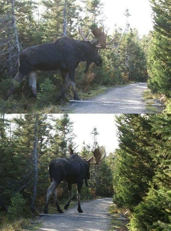 Comparison Matters (30 pics) Comparison Matters (30 pics)