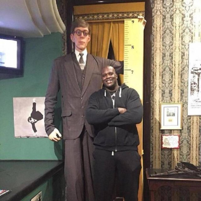 Comparison Matters (30 pics) Comparison Matters (30 pics)