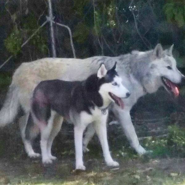 Comparison Matters (30 pics) Comparison Matters (30 pics)