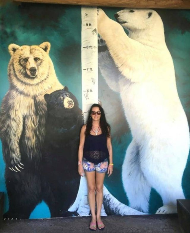 Comparison Matters (30 pics) Comparison Matters (30 pics)