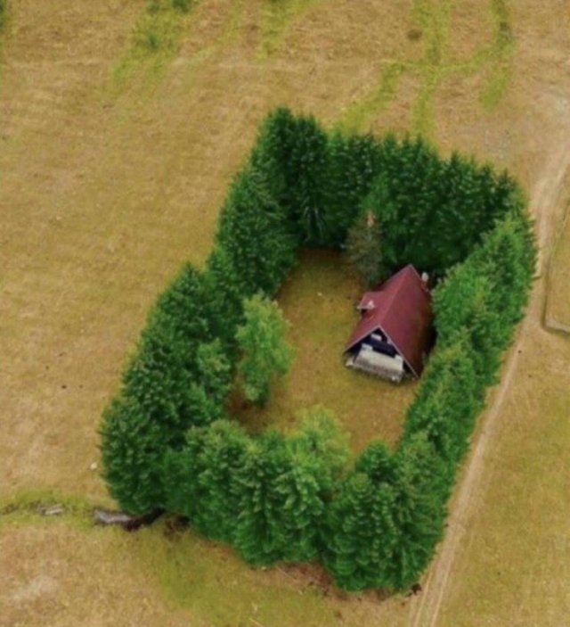 Acid Picdump 2 (89 pics)