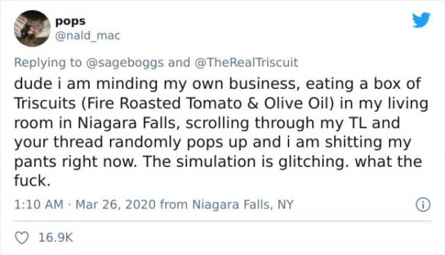Man Explained The Meaning Of 'Triscuit' (28 pics)