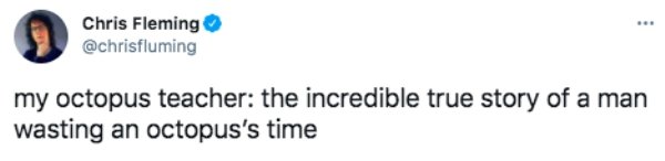 The Oscars Tweets (24 pics)
