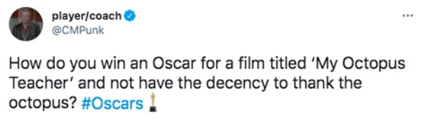 The Oscars Tweets (24 pics)