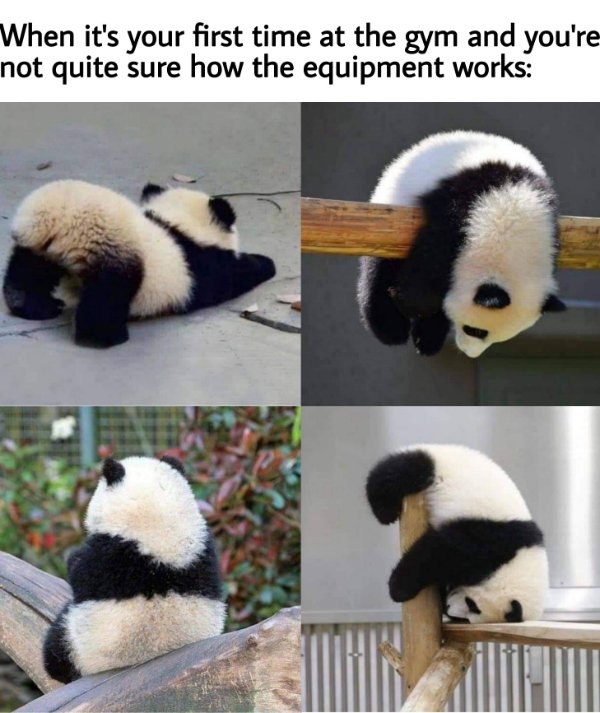 Random Funny Memes (22 pics)