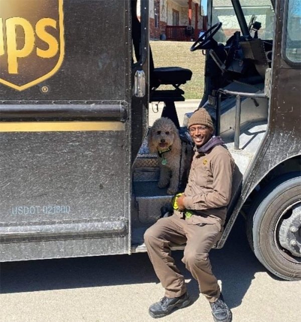 UPS Dogs (35 pics)