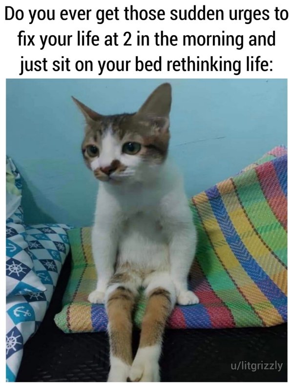 Random Funny Memes (22 pics)