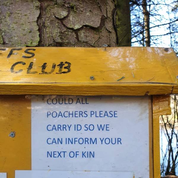 Acid Picdump 1 (80 pics)