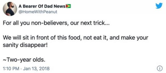 Parenting Tweets (25 pics)