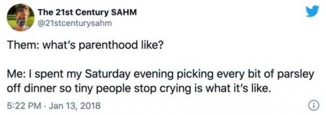 Parenting Tweets (25 pics)