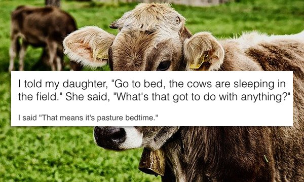 Dad Jokes (24 pics)