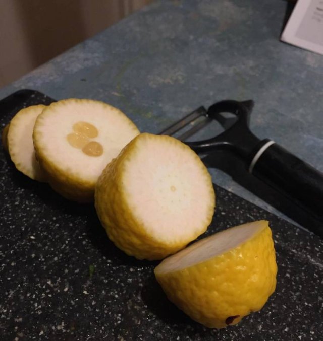Bad Days Happen (45 pics)