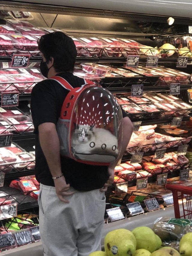 Acid Picdump 1 (80 pics)