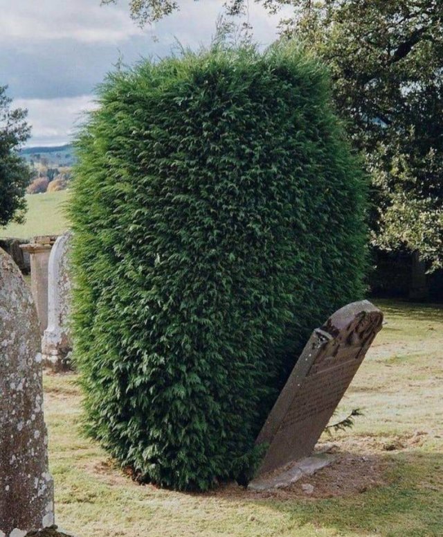 Acid Picdump 1 (80 pics)