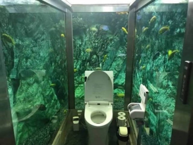 Acid Picdump 1 (80 pics)
