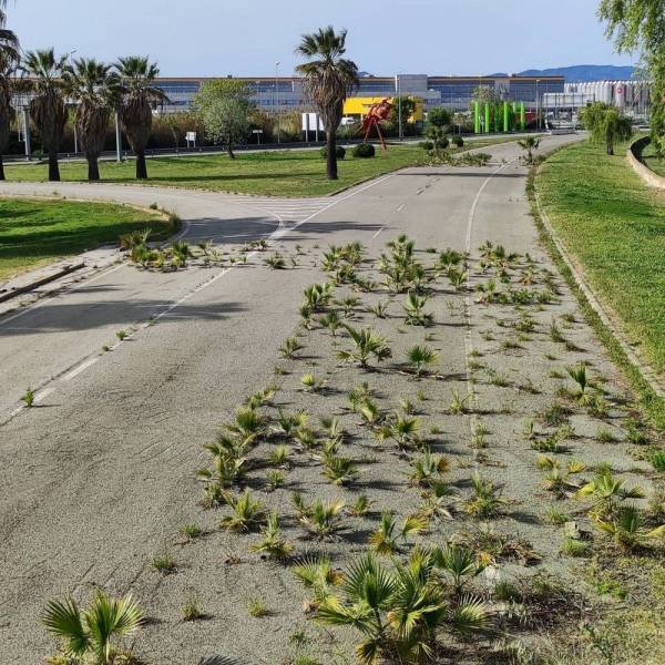 Acid Picdump 1 (80 pics)