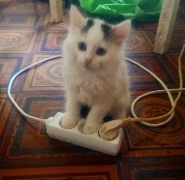 Acid Picdump 1 (80 pics)