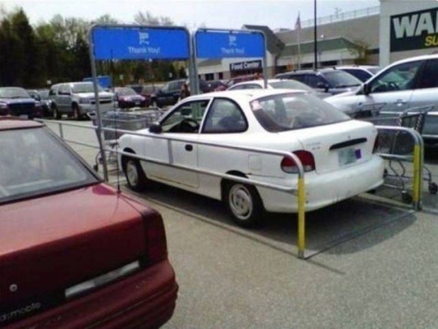 Acid Picdump 1 (80 pics)