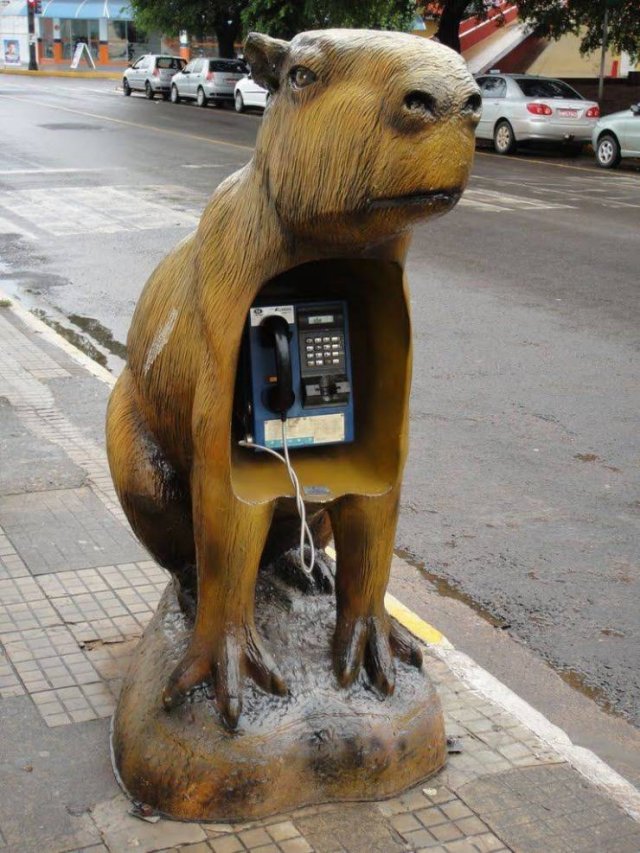 Acid Picdump 1 (80 pics)