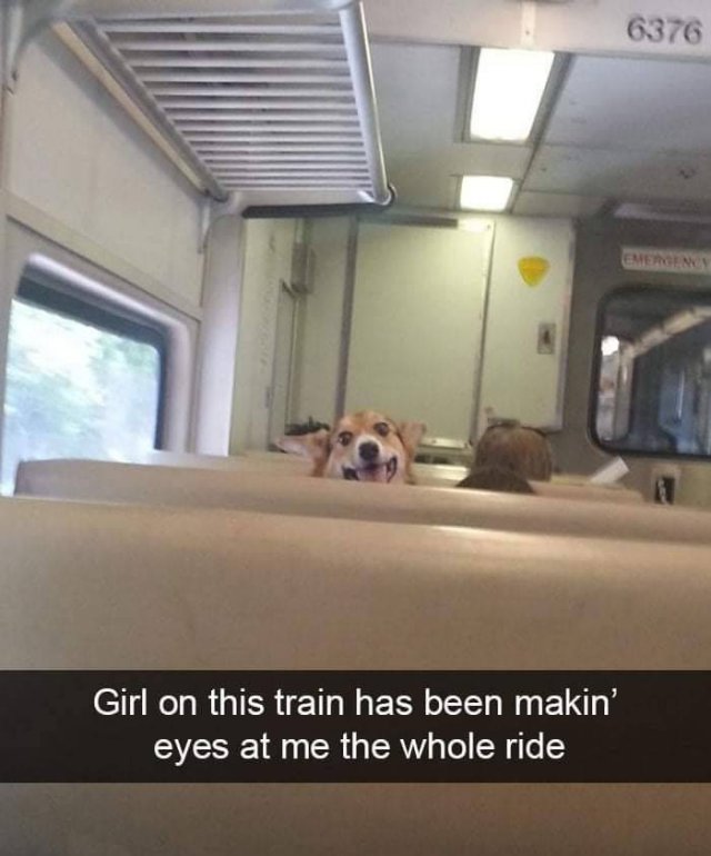 Acid Picdump 1 (80 pics)
