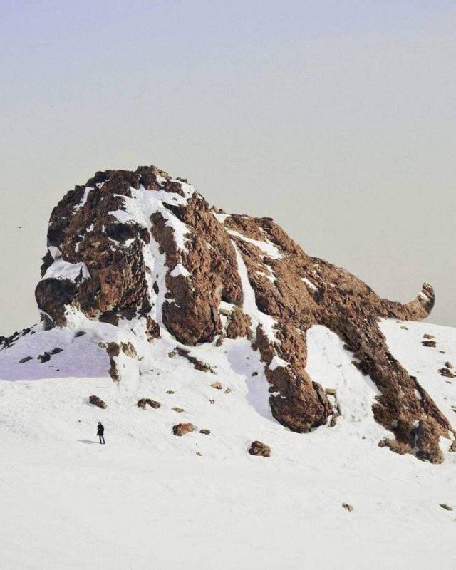 Awesome Things (45 pics)