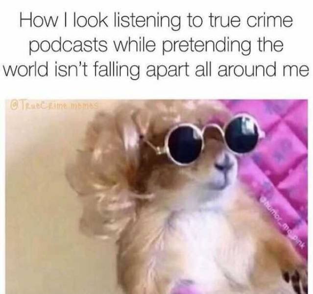 Crime Memes (39 pics)