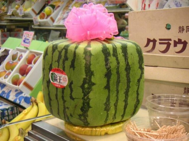 Life In Japan (33 pics) Life In Japan (33 pics)