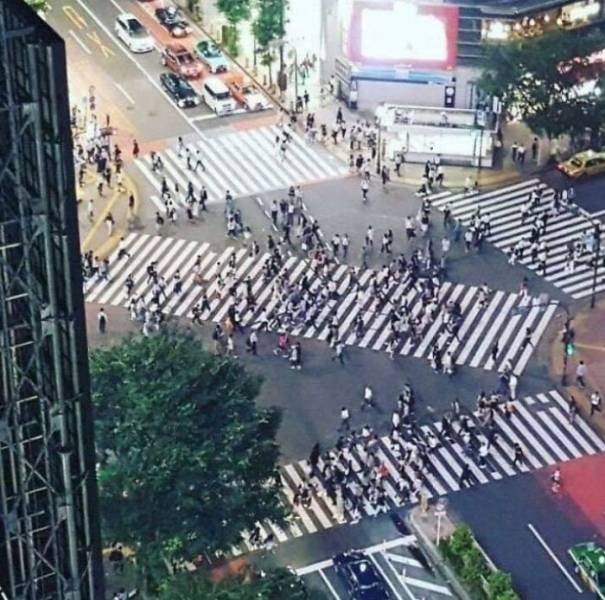 Life In Japan (33 pics) Life In Japan (33 pics)