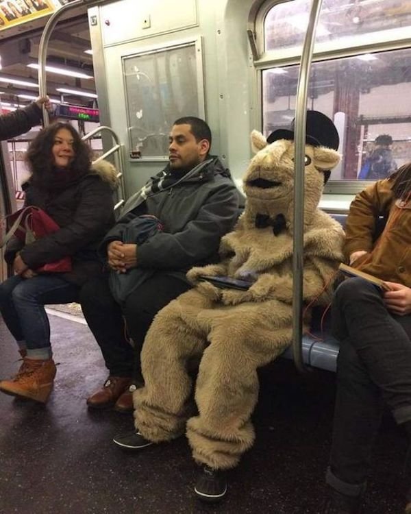 Weird Subway Passengers (35 pics)