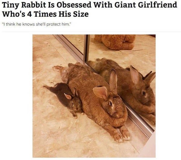 Giant's World (29 pics)