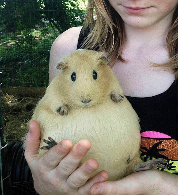 Giant's World (29 pics)