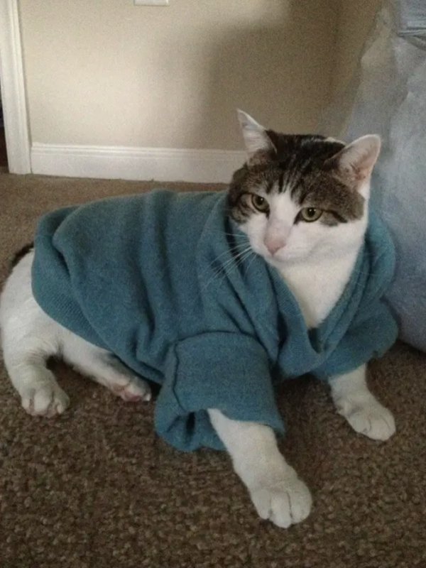 Married Life Fails (21 pics)