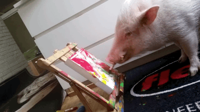 Acid Gifdump, April 28 (25 gifs)
