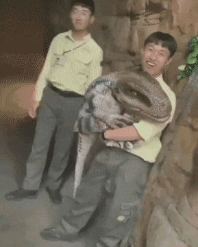Acid Gifdump, April 28 (25 gifs)