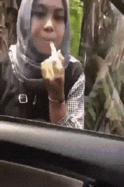 Acid Gifdump, April 28 (25 gifs)