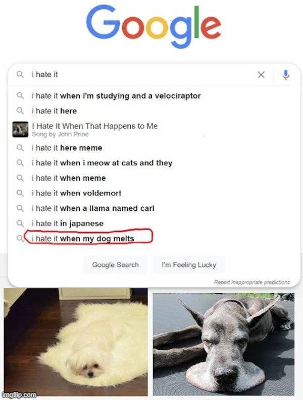 Dog Memes (27 pics)