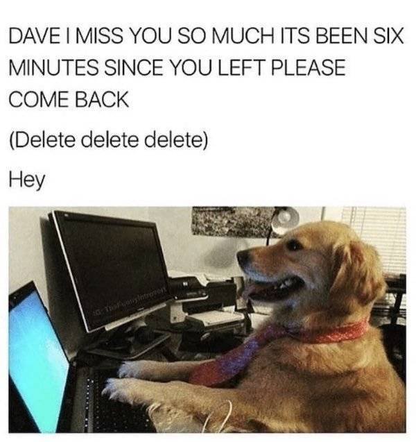 Dog Memes (27 pics)