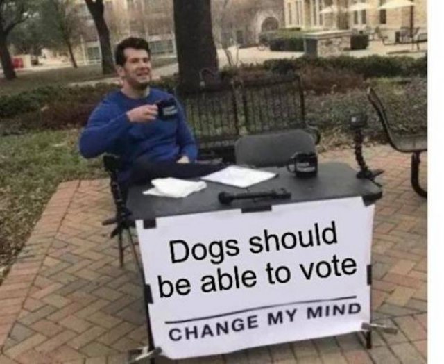 Dog Memes (27 pics)